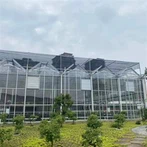 Большая теплица