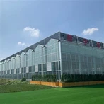 Маленькая стеклянная теплица