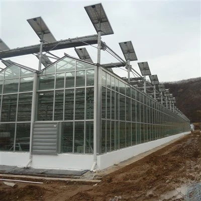 Solar Panel Greenhouse