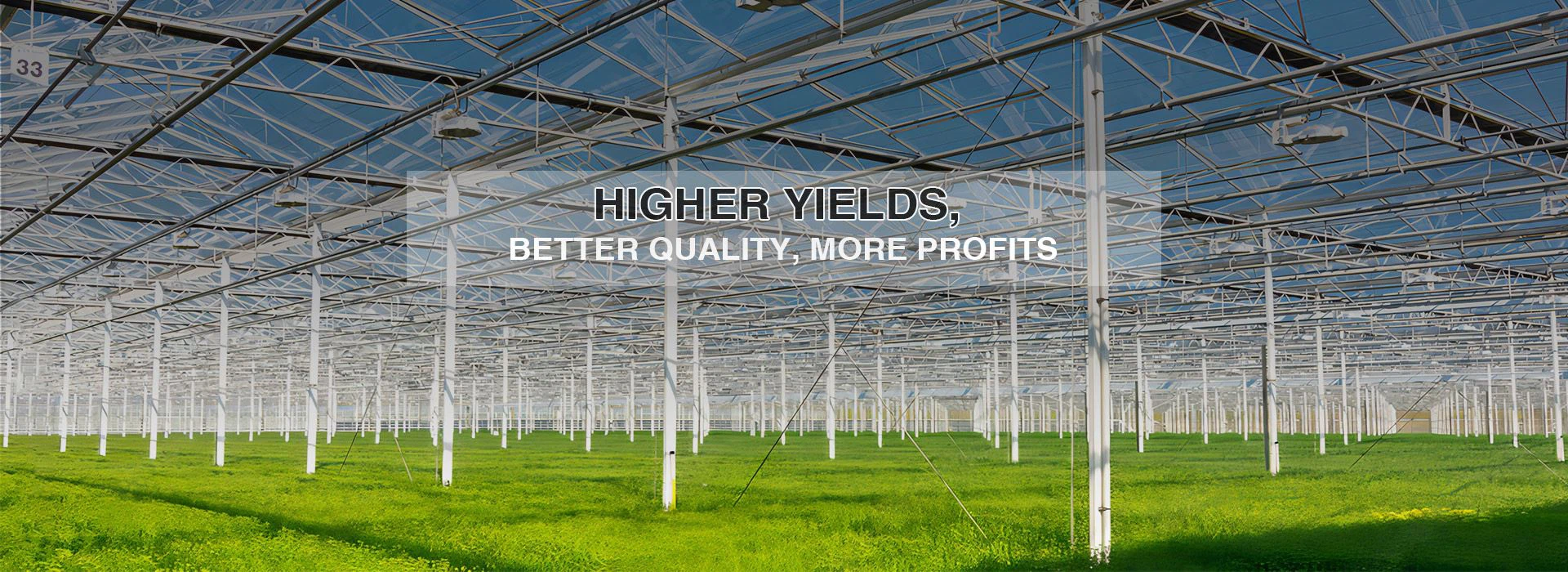 professional greenhouse design manufacturing processing