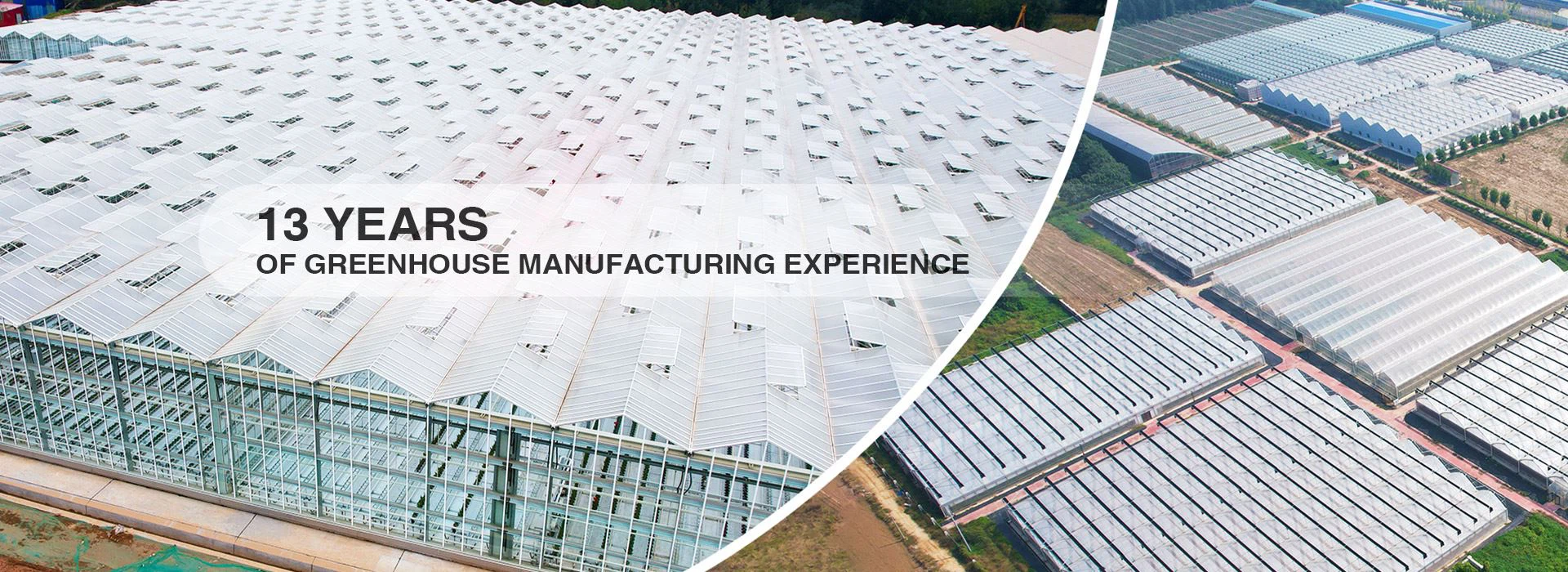 professional greenhouse design manufacturing processing