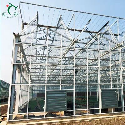 China Venlo Glass Greenhouse