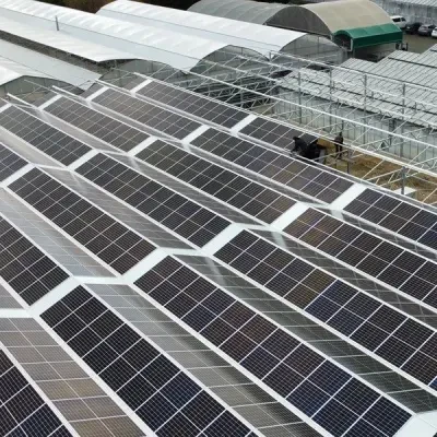 Solar Panel Greenhouse