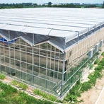 Теплица Венло