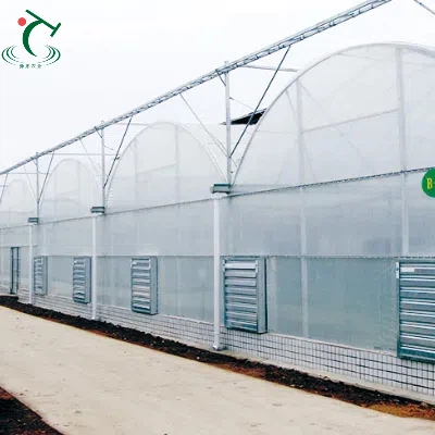 Китайский туннельный фильм теплица